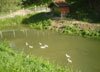 stara presa senkovec turizam